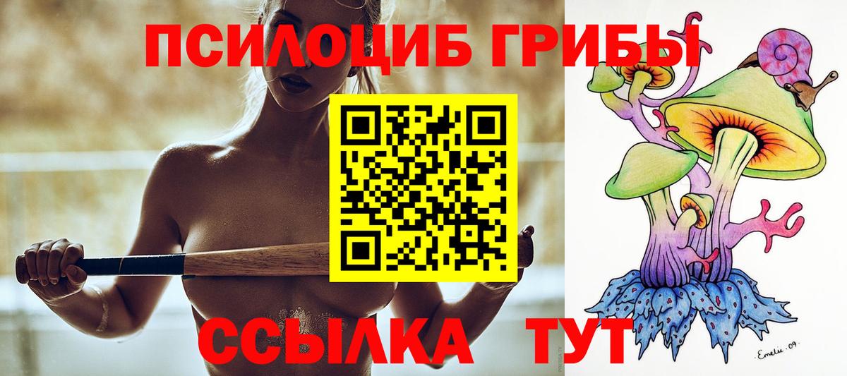 Галлюциногенные грибы Cubensis Лосино-Петровский